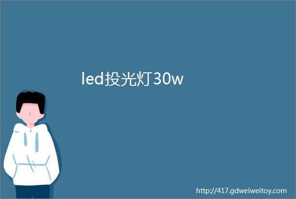 led投光灯30w
